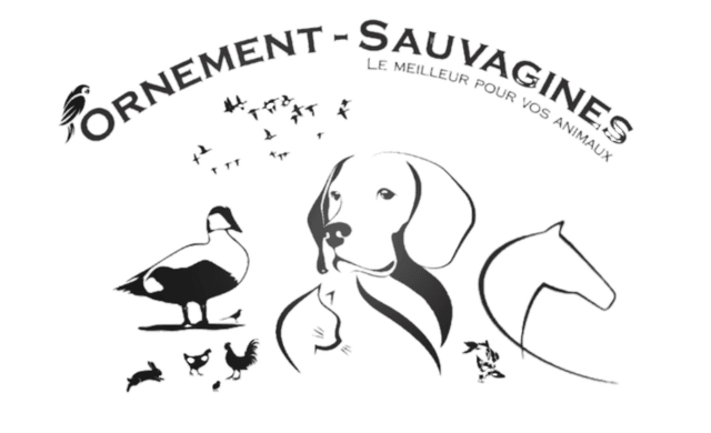 Ornement-Sauvagines
